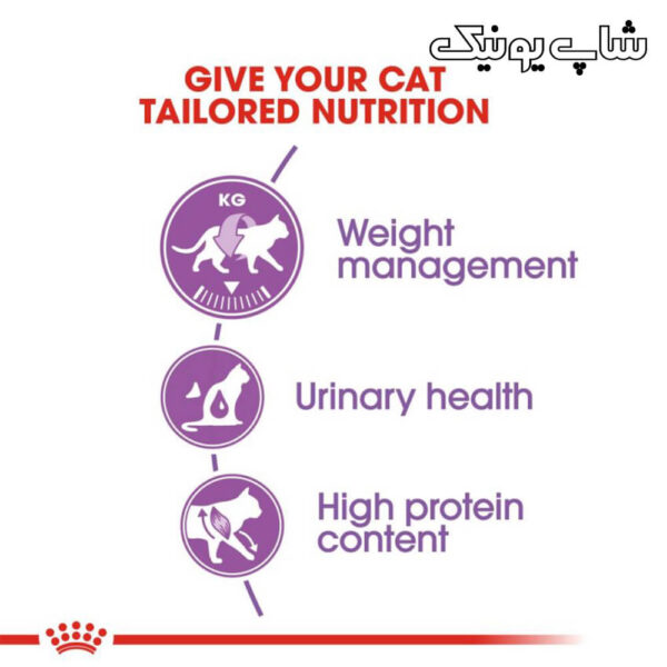 تغذیه مناسب با غذای خشک گربه رویال کنین استرلایز مدل Regular Sterilised