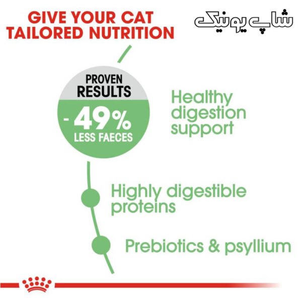 تغذیه مناسب با غذای خشک گربه رویال کنین دایجستیو مدل Digestive Care