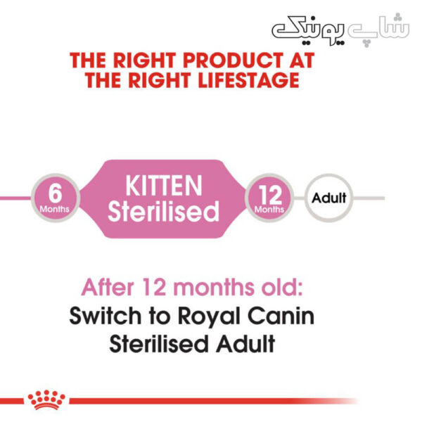 رده سنی غذای خشک گربه رویال کنین استرلایز مدل Kitten Sterilised