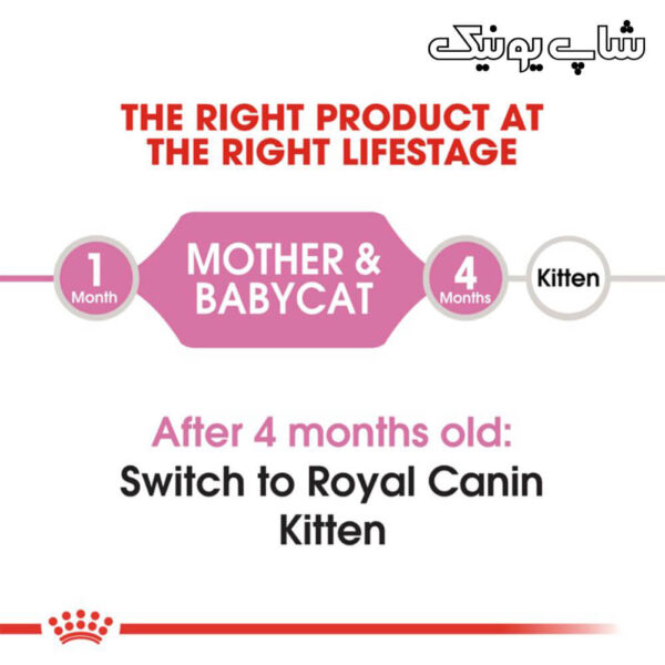 رده سنی غذای خشک گربه رویال کنین مادر اند بیبی مدل Mother & Babycat