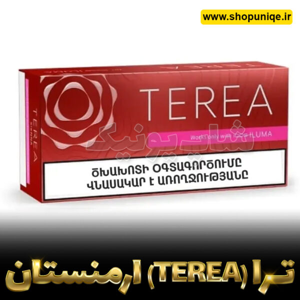 ترا ارمنی سیئنا terea sienna